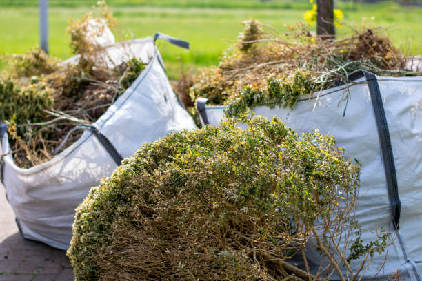 Trash Removal Near Me in Mount Vernon, MO